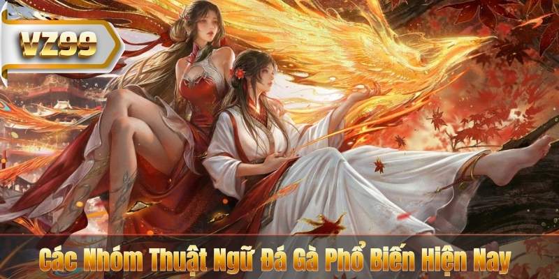 Các Nhóm Thuật Ngữ Đá Gà Phổ Biến Hiện Nay