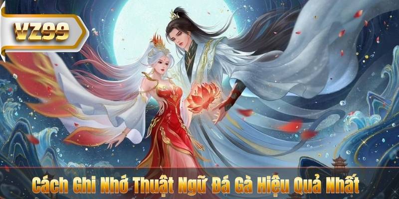 Cách Ghi Nhớ Thuật Ngữ Đá Gà Hiệu Quả Nhất