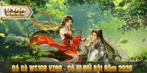Đá Gà WS168 VZ99 - Có Gì Nổi Bật Năm 2026