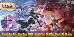 Game Bài Trác Kim Hoa VZ99 – Luật Chơi Dễ Nắm, Cược Dễ Thắng