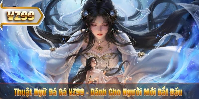 Thuật Ngữ Đá Gà VZ99 - Dành Cho Người Mới Bắt Đầu