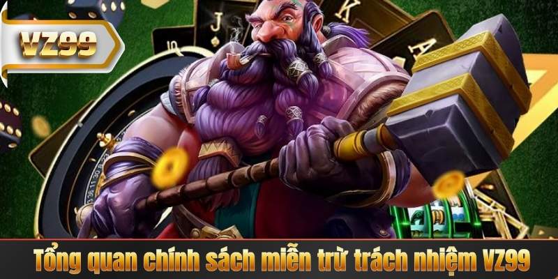 Miễn Trừ Trách Nhiệm 4 Tổng quan chính sách miễn trừ trách nhiệm VZ99